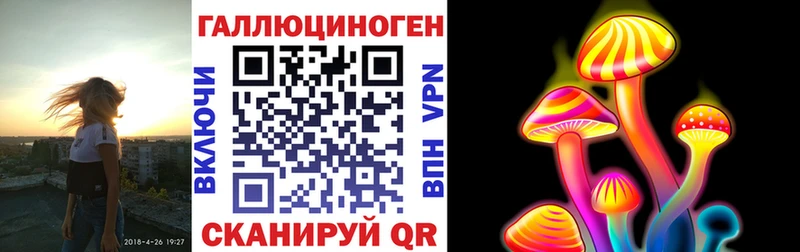 купить наркоту  мориарти Telegram  ОМГ ОМГ ССЫЛКА  Псилоцибиновые грибы мухоморы  Хадыженск 